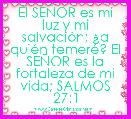 El SEÃOR es mi luz y mi salvaciÃ³n; Â¿a quiÃ©n temerÃ©? El SEÃOR es la fortaleza de mi vida; SALMOS 27:1 