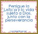 Persigue la justicia y la vida sujeta a Dios, junto con la perseverancia

