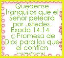 QuÃ©dense tranquilos que el SeÃ±or pelearÃ¡ por ustedes. Exodo 14:14   ☺Promesa de Dios para los que el confÃ­an