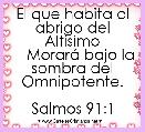 El que habita al abrigo del AltÃ­simo
    MorarÃ¡ bajo la sombra del Omnipotente.

Salmos 91:1