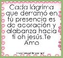 Cada lÃ¡grima que derramÃ³ en tÃº presencia es de adoraciÃ³n y alabanza hacia ti oh jesÃºs.Te Amo