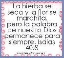 La hierba se seca y la flor se marchita,
pero la palabra de nuestro Dios
permanece para siempre. Isaias 40:8