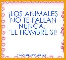 Â¡LOS ANIMALES NO TE FALLAN NUNCA. 
'EL HOMBRE SI!