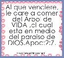 Al que venciere, le dare a comer del Arbol de VIDA ,el cual esta en medio del paraiso de DIOS.Apoc:2:7.
