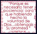 *Porque es necesario tener paciencia; para que habiendo hecho la voluntad de Dios...obtengais Su promesa *