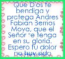 Que Dios te bendiga y protega Andres Fabian Berrios Moya, que el SeÃ±or te tenga en su gloria.
Espero tu dolor no hay sido demasia