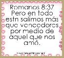 Romanos 8:37 Pero en todo estn salimos mÃ¡s que vencedores por medio de aquel que nos amÃ³.
