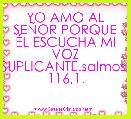 YO AMO AL SEÃOR PORQUE ÃL ESCUCHA MI VOZ SUPLICANTE.salmos: 116,1.         