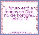 Tu futuro estÃ¡ en manos de Dios, no de hombres. Job12.10