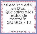 Mi escudo estÃÂ¡ en Dios,
 Que salva a los rectos de corazÃÂ³n.
 SALMOS 7:10