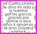 Mi Gatita chikita te amo mi vida y a nuestros gatitos gordos, gracias por darme a esos niÃ±os k amamos, te amo Dayana