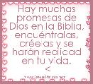 Hay muchas promesas de Dios en la Biblia, encuÃ©ntralas, crÃ©elas y se harÃ¡n realidad en tu vida.
 <