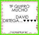 

          TE QUIERO MUCHO

     DAVID ORTEGA... ♥ ♥ ♥ ♥