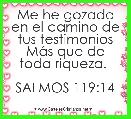 Me he gozado en el camino de tus testimonios MÃ¡s que de toda riqueza. 

SALMOS 119:14