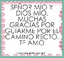 SEÃOR MÃO Y DIOS MÃO, MUCHAS GRACIAS POR GUIARME POR EL CAMINO RECTO. TE AMO 