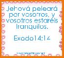 
JehovÃ¡ pelearÃ¡ por vosotros, y vosotros estarÃ©is tranquilos.

Exodo14:14