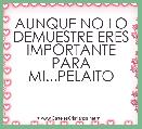 AUNQUE NO LO DEMUESTRE ERES IMPORTANTE PARA MI...PELAITO