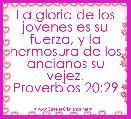 La gloria de los jovenes es su fuerza, y la hermosura de los ancianos su vejez.
Proverbios 20:29