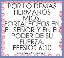 POR LO DEMAS HERMANOS MIOS, FORTALECEOS EN EL SEÃOR Y EN EL PODER DE SU FUERZA.
EFESIOS 6:10