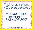Y ahora, SeÃ±or,
 Â¿QuÃ© esperare? 
Mi esperanza esta en ti
SALMOS 39:7