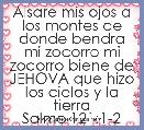 Alsare mis ojos a los montes de donde bendra mi zocorro mi zocorro biene de JEHOVA que hizo los cielos y la tierra
Salmo 121:1-2
