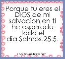 Porque tu eres el DIOS de mi salvacion,en ti he esperado todo el dia.Salmos.25.5.