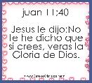 juan 11;40

Jesus le dijo;No te he dicho que si crees, veras la Gloria de Dios.