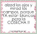alzad los ojos y mirad los campos, porque YA estÃ n blancos para la COSECHA !!